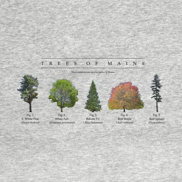 Trees of Maine by Atmospheric Comics Company